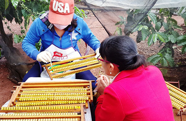 Sản phẩm nguyên chất mật ong, sữa ong chúa... mang nhãn hiệu Trần Mao, Đà Lạt đang tạo lợi thế cạnh tranh trên thị trường