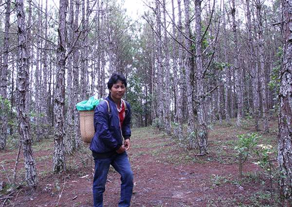  Anh Ya Bi chăm sóc rừng trồng của mình được giao. Ảnh: H.Y