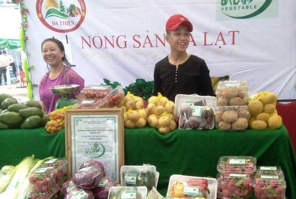 Ngày càng nhiều hộ nông dân ở Lâm Đồng gia tăng lợi nhuận khi liên kết sản xuất theo Luật HTX 2012. Ảnh: V.Việt