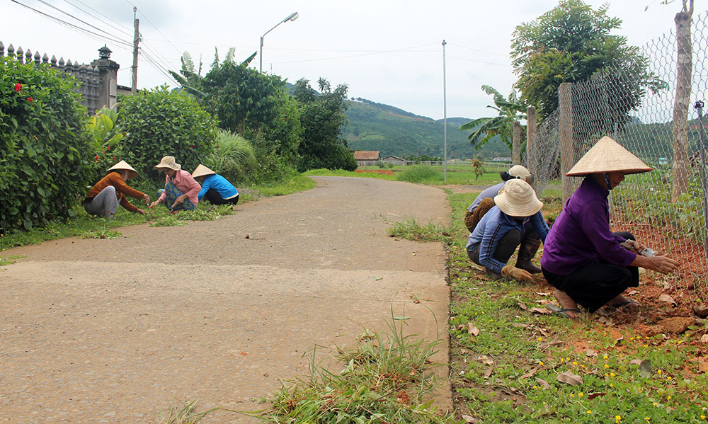 Người dân làm cỏ hai bên đường hoa dẫn vào thôn Trung Ninh. Ảnh: T.V