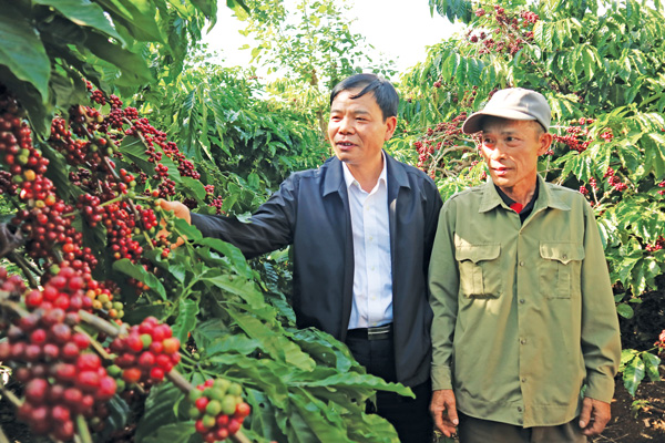 Bộ trưởng Bộ Nông nghiệp & Phát triển nông thôn Nguyễn Xuân Cường (thứ hai, từ trái qua) tham quan mô hình sản xuất cà phê sạch tại thị trấn Nam Ban, huyện Lâm Hà. Ảnh: Đoàn Kiên