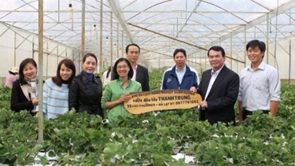 TS Phạm S - Phó Chủ tịch UBND tỉnh Lâm Đồng thăm mô hình du lịch canh nông dâu tây