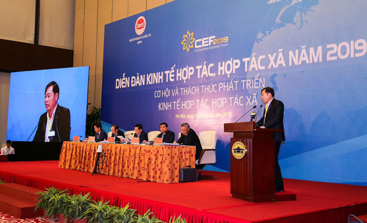 Giám đốc HTX Sunfood Đà Lạt Phạm Ngọc Thạch được mời phát biểu tại Diễn đàn kinh tế hợp tác, hợp tác xã tại Hà Nội.  Ảnh: V.Việt