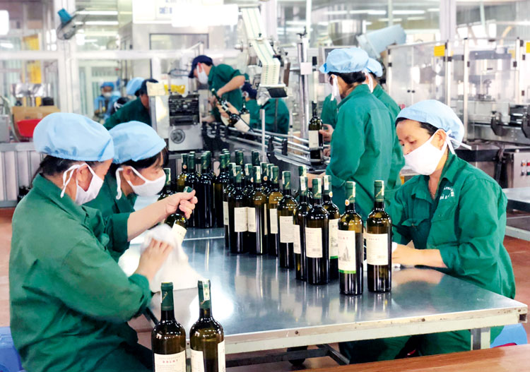 Các doanh nghiệp Lâm Đồng đang ngày càng phát triển cả về chất và lượng. Ảnh: D.Thương