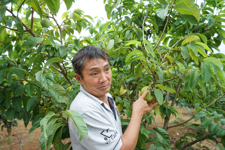 Ông Nguyễn Viết Tiến có nhiều trăn trở với sản phẩm Organic