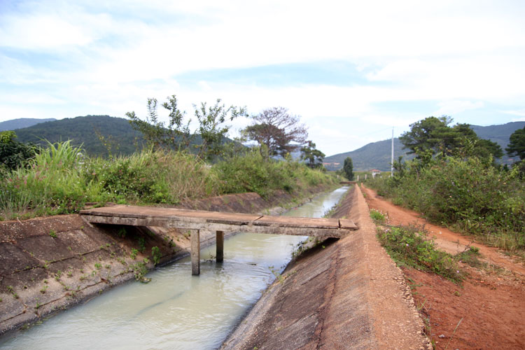 Nguồn nước từ các công trình thủy lợi đang đáp ứng khoảng 13% diện tích đất sản xuất nông nghiệp trên địa bàn huyện Đơn Dương
