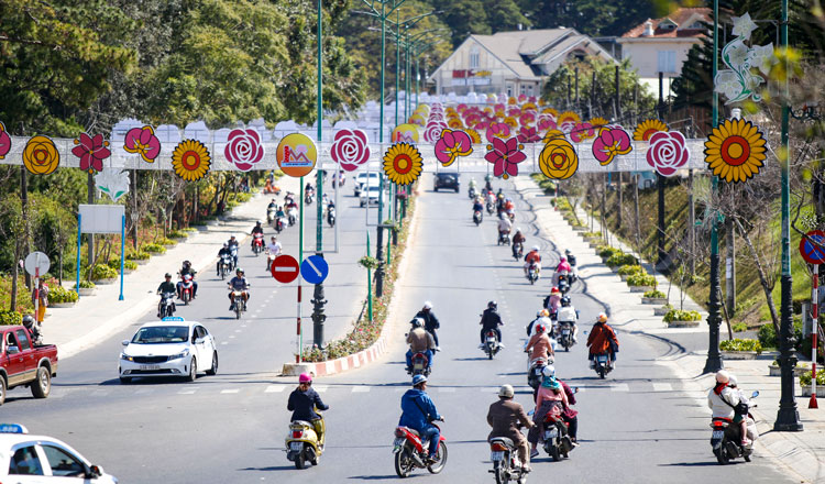 Con đường điện hoa đang được khẩn trương hoàn thành trên đường Hồ Tùng Mậu. Đây là con đường dẫn vào khu vực trung tâm TP Đà Lạt hứa hẹn sẽ thu hút du khách