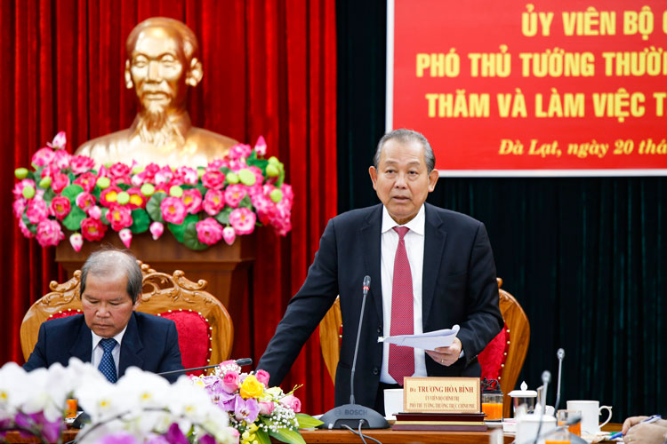 Phó Thủ tướng Chính phủ Trương Hoà Bình phát biểu kết luận buổi làm việc
