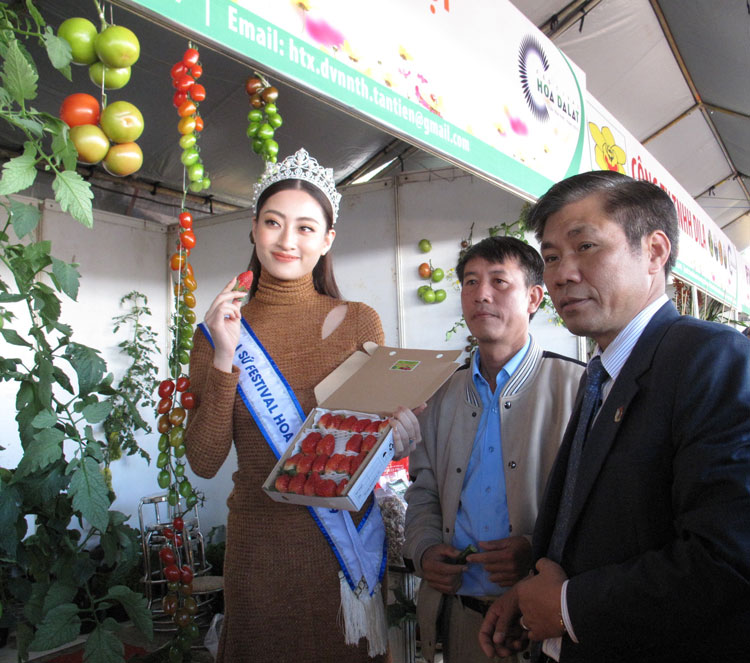 Hoa hậu Lương Thùy Linh - Đại sứ hình ảnh của Festival Hoa Đà Lạt năm 2019 cùng lãnh đạo UBND TP Đà Lạt tham quan gian hàng triển lãm 