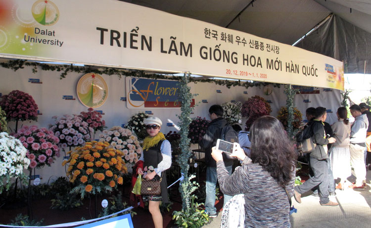Phiên chợ Rau hoa Đà Lạt năm 2019 lần đầu tiên có sự tham gia triển lãm giống hoa mới Hàn Quốc