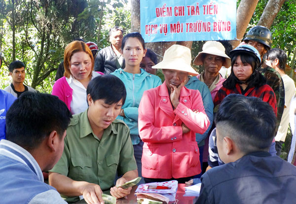 Thu nhập từ nghề rừng của người dân Lâm Đồng đã đạt mức 15 triệu đồng/hộ/năm. Ảnh: V.Việt