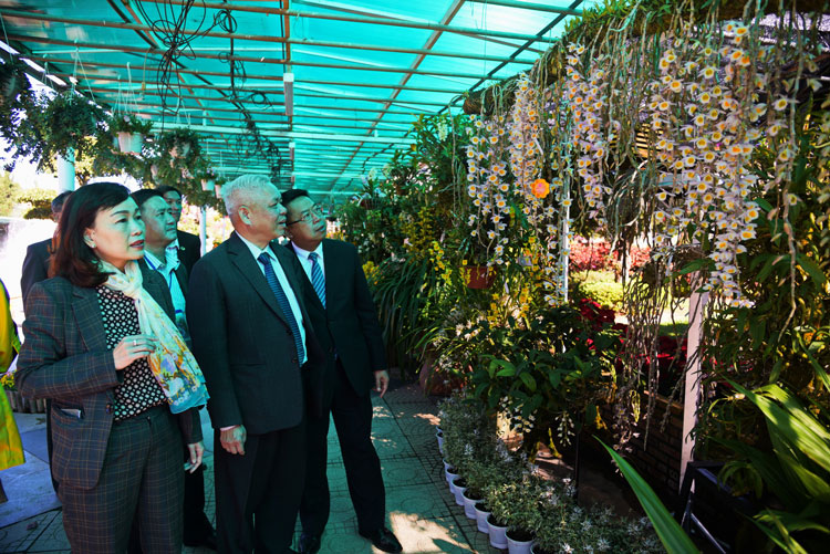 Các đại biểu tham quan khu triển lãm hoa, cây cảnh 