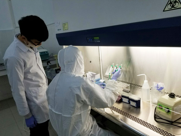 Các kỹ thuật viên xét nghiệm của Trung tâm Kiểm soát bệnh tật Lâm Đồng đang tập huấn kỹ thuật tách chiết mẫu trong tủ an toàn sinh học cấp 2
