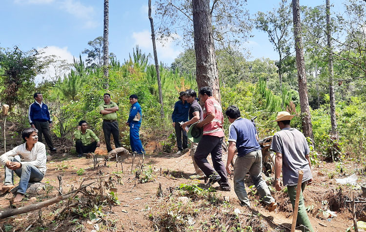 Kiểm lâm, chủ rừng, các hộ nhận khoán phối hợp kiểm tra rừng và đất rừng