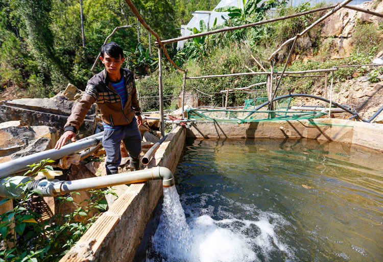Ông Nguyễn Công Trọng Sơn bên hồ nuôi cá tầm bị chết nghi bị nhiễm độc nguồn nước, thiệt hại hơn 1,5 tỷ đồng