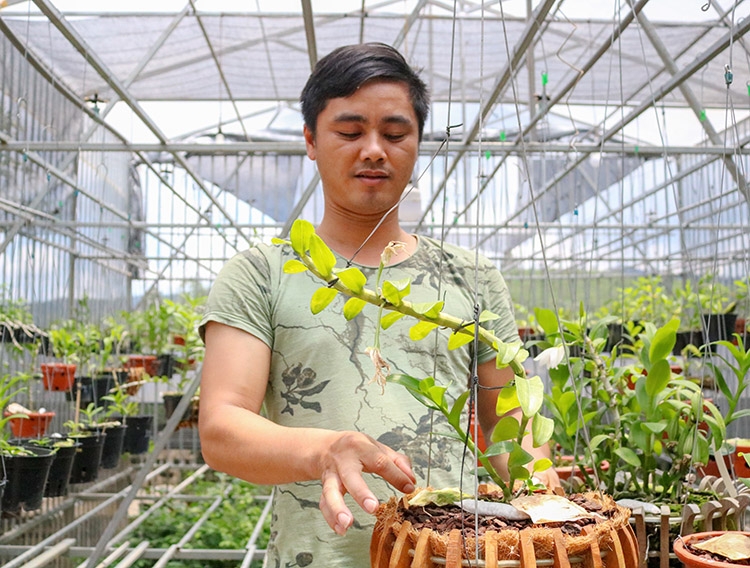 Khu vườn lan rừng và lan đột biến của anh Đàm Văn Quyết (tại xã Tân Thanh, huyện Lâm Hà) cho thu nhập 200 - 300 triệu đồng/tháng