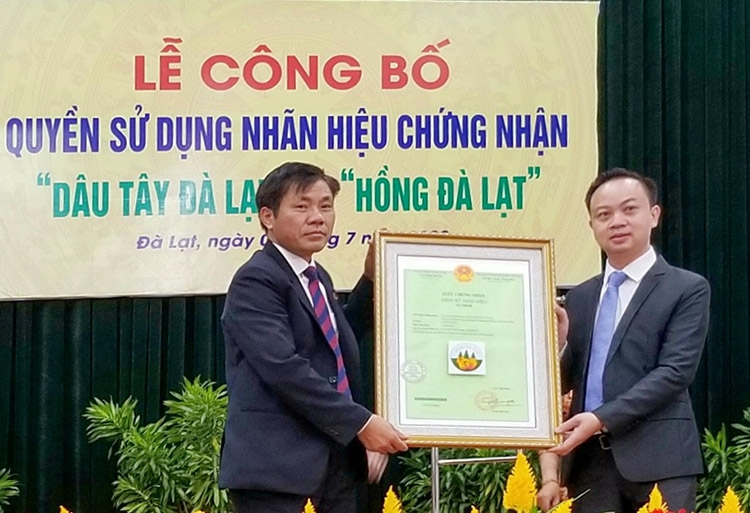 Phó Chủ tịch UBND thành phố Đà Lạt Nguyễn Văn Sơn nhận quyết định và giấy chứng nhận đăng ký nhãn hiệu “Dâu tây Đà Lạt” và “Hồng Đà Lạt” của Cục sở hữu trí tuệ