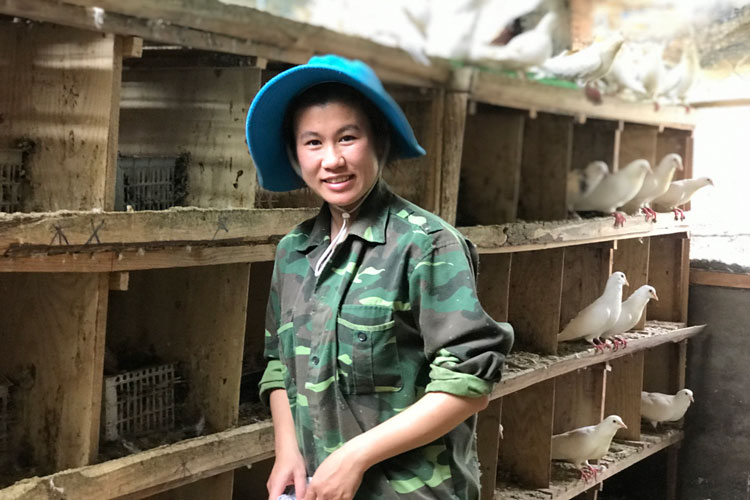 Chị Nguyễn Kiều Trang bên chuồng bồ câu của gia đình