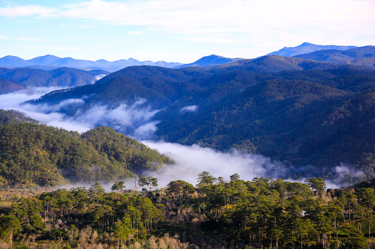 Thung lũng Cầu Đất đang là điểm đến săn mây thu hút du khách nhất