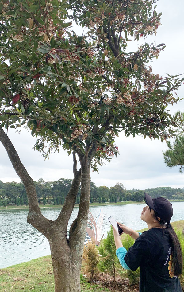 Check in hoa cơm nước bên hồ Xuân Hương