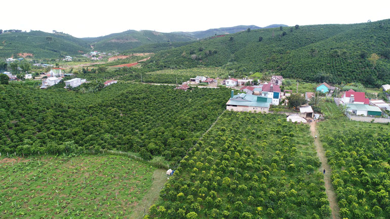 Sunfood - Thái Sơn hợp tác cùng nông dân phát triển 120 ha nông nghiệp thông minh ở vùng phụ cận Đà Lạt