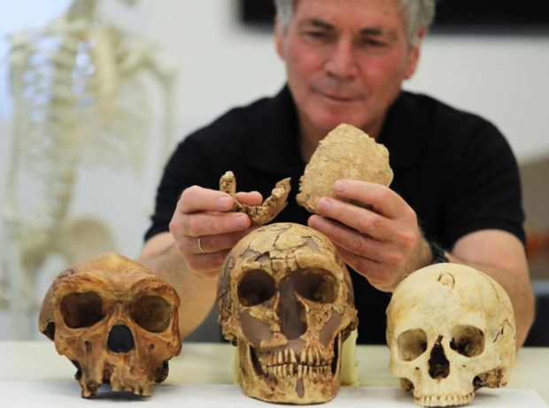 Giáo sư Đại học Tel Aviv Hershkovitz bên cạnh các mẫu hộp sọ mới tìm thấy của 