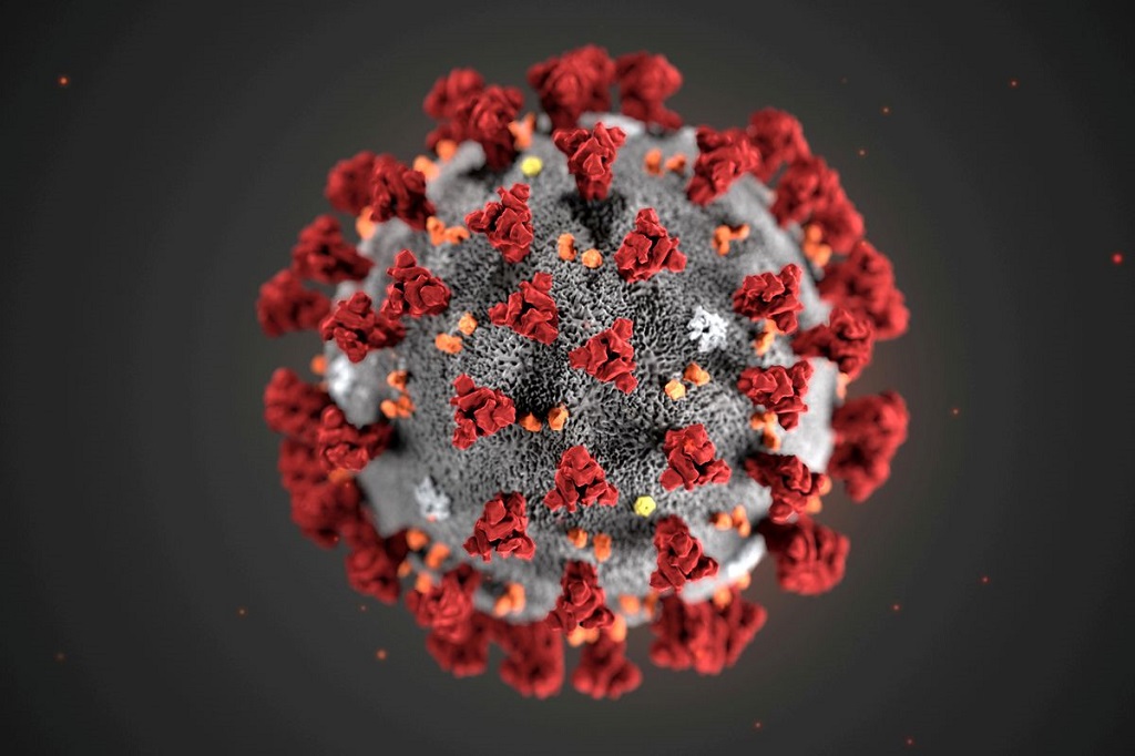 Hình minh họa virus SARS-CoV-2 do Trung tâm Kiểm soát và Phòng ngừa Dịch bệnh (CDC) Mỹ phát hành