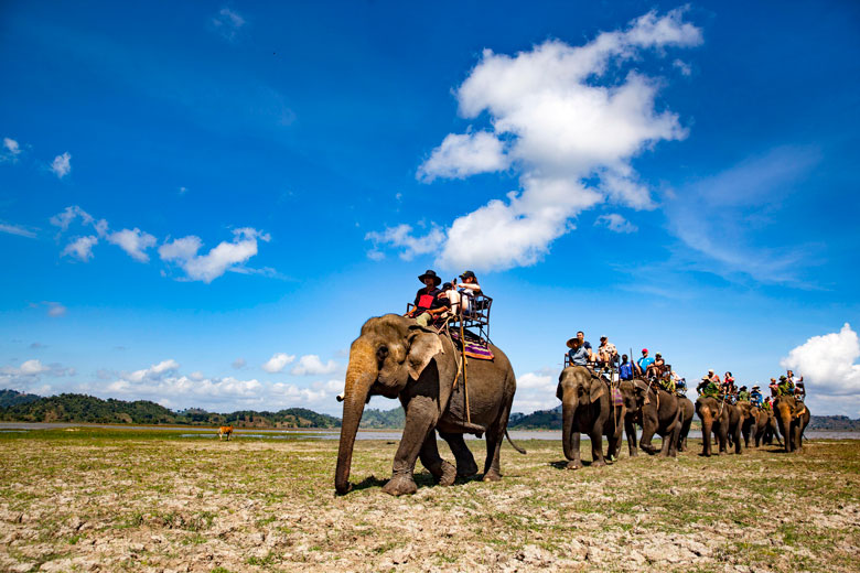 Du lịch bằng voi ở hồ Lắk. (Ảnh chụp trước ngày 27/4/2021). Ảnh: Võ Việt