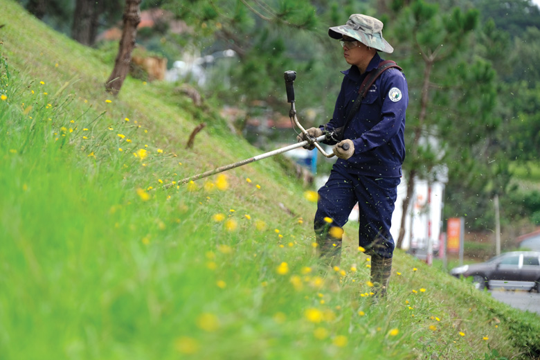 Công nhân cắt cỏ ven bờ hồ Xuân Hương trong những ngày dịch Covid-19 diễn biến phức tạp