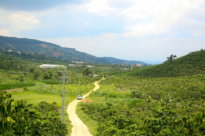 Những con đường uốn lượn qua đồi dốc phủ xanh cà phê  hay cây trái, rau màu... rất nhiều ở Lâm Hà và có thể dẫn đến những cảnh đẹp không ngờ. (Ảnh chụp trước ngày 27/4/2021)