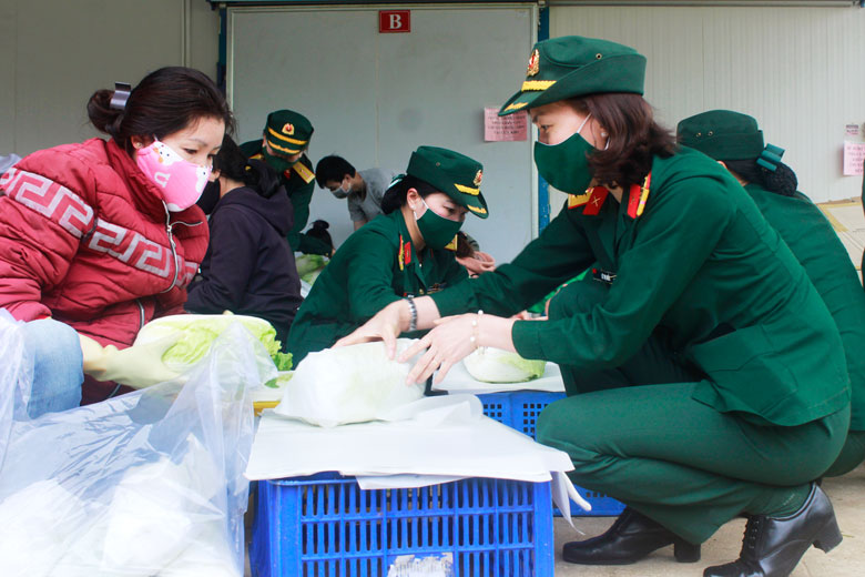 Tổ chức Phụ nữ Học viện Lục quân tham gia thu hoạch rau xanh ủng hộ tuyến đầu phòng, chống COVID-19