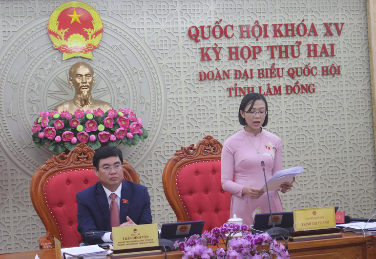 ĐBQH Trịnh Thị Tú Anh tham gia góp ý dự thảo Luật Sở hữu trí tuệ