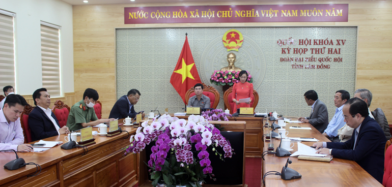 Các đại biểu tham dự trực tuyến kỳ họp tại điểm cầu Lâm Đồng