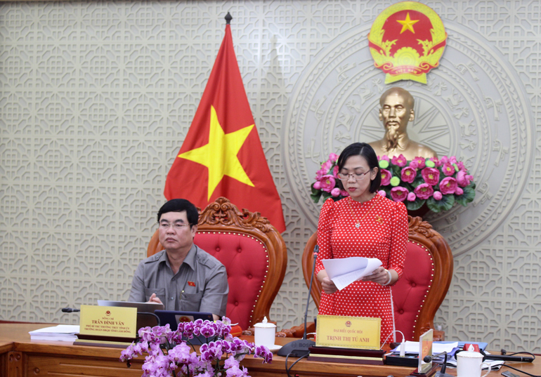ĐBQH Trịnh Thị Tú Anh tham gia góp ý Luật Điện ảnh