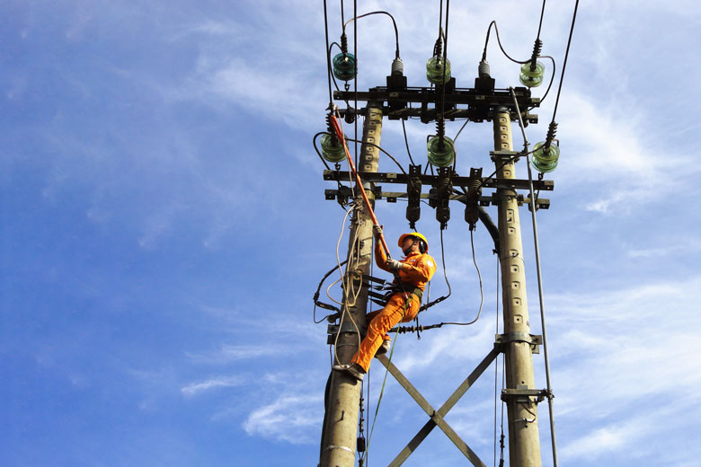 Cán bộ, công nhân viên Điện lực Di Linh thực hiện sửa chữa, bảo dưỡng định kỳ hệ thống lưới điện trên địa bàn