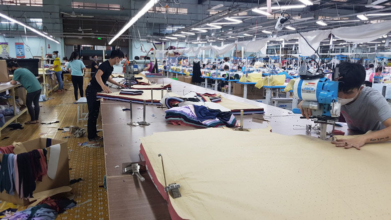 Đơn hàng sản xuất dịp cuối năm nhiều, tuy nhiên Công ty May An Thái lại đang thiếu hụt một lượng lớn nguồn lao động có tay nghề