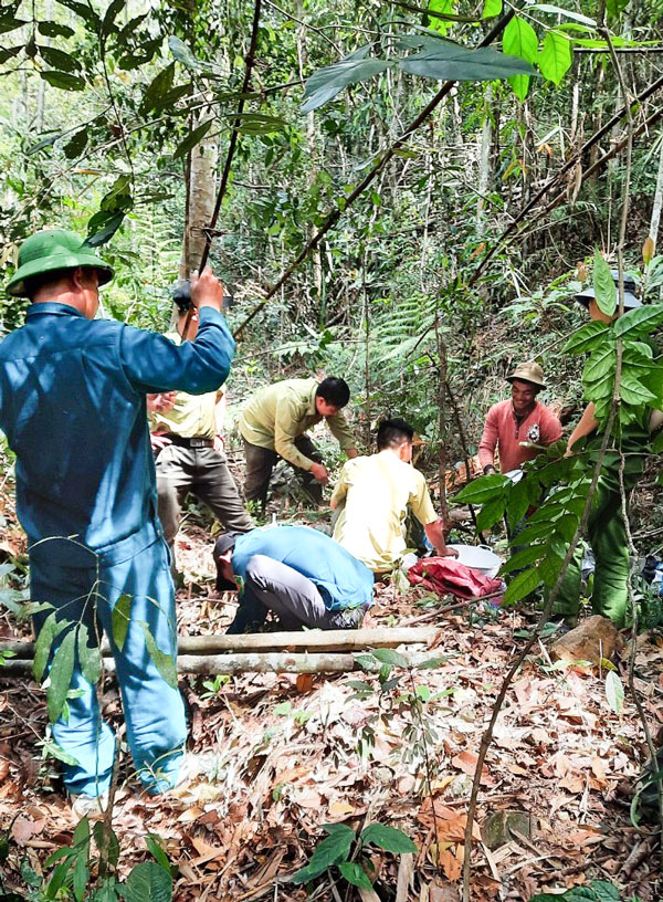 Lực lượng tuần tra, bảo vệ rừng huyện Đam Rông tiến hành dựng trại qua đêm trong rừng