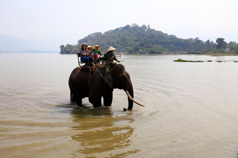Cưỡi voi tại hồ Lắk. Ảnh: Võ Trang