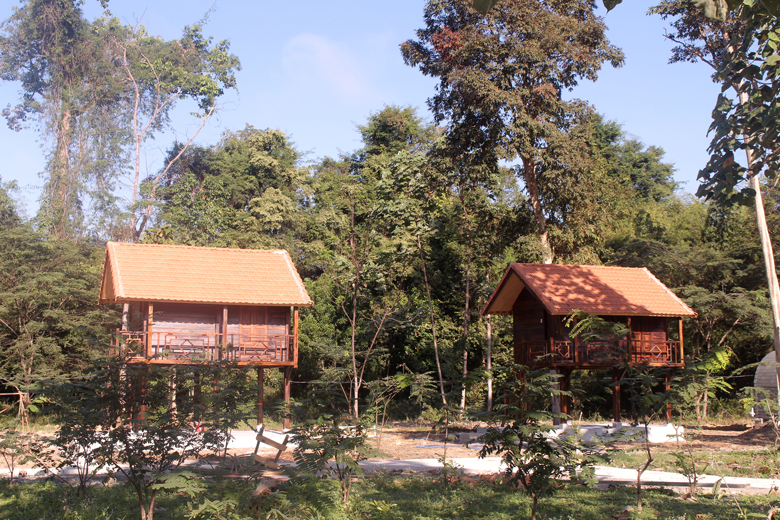 Du khách có thể trải nghiệm nghỉ trên nhà sàn cao giữa rừng.