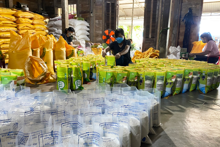 HTX Sản xuất nông nghiệp và dịch vụ Quyết Tâm tất bật với các hoạt động đóng gói sản phẩm để kịp cho các chuyến xe chuyển gạo đặc sản đi tiêu thụ