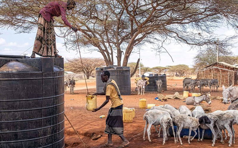 Người dân Kenya khan hiếm nước.