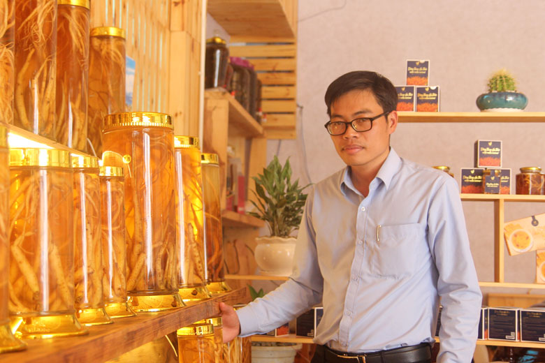 Anh Vĩnh Sơn đang từng bước xây dựng thương hiệu cho đẳng sâm ở Di Linh