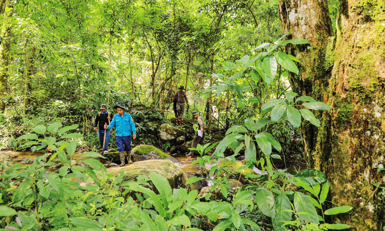 Các hộ nhận khoán quản lý bảo vệ rừng Phi Liêng, huyện Đam Rông cùng kiểm lâm địa bàn phối hợp tuần tra bảo vệ rừng