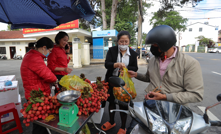 Cán bộ, nhân viên Bưu điện tỉnh Lâm Đồng bán ủng hộ vải thiều Lục Ngạn cho bà con nông dân Bắc Giang sáng nay trên đường Quang Trung (Phường 9, TP Đà Lạt)