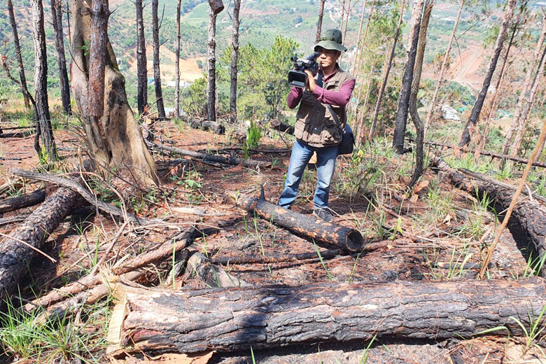 Phóng viên tác nghiệp ở hiện trường vụ rừng thông Tiểu khu 263B, thị trấn Nam Ban, huyện Lâm Hà bị cưa hạ