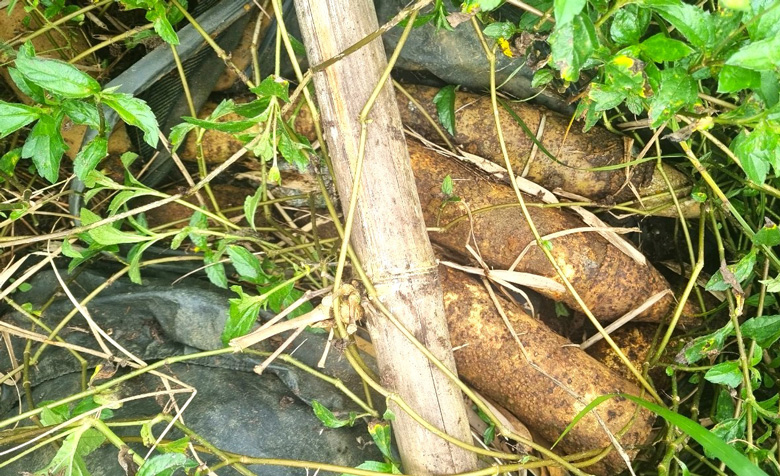 Số đạn pháo được phát hiện khi thi công nạo vét hồ thủy lợi Lộc Thắng