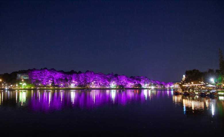 Đà Lạt: Lung linh ánh sáng nghệ thuật bên hồ Xuân Hương