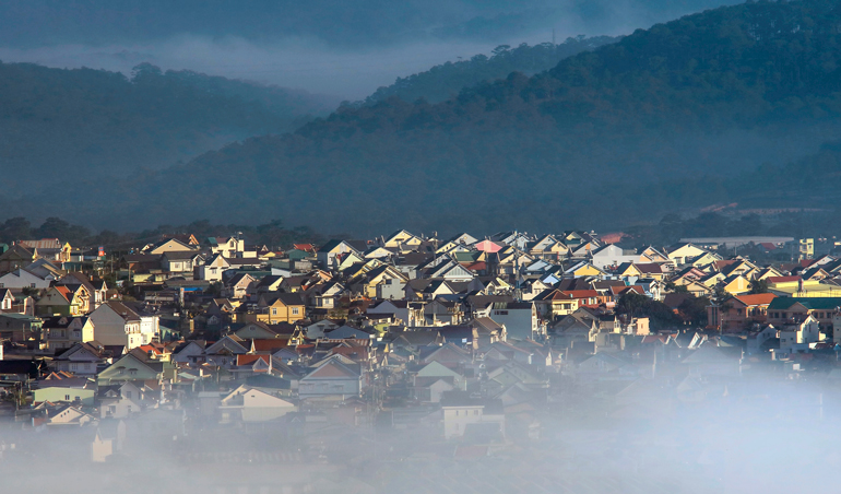 Một góc làng hoa Thái Phiên, Đà Lạt. Ảnh: Thụy Trang