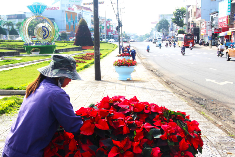 Bảo Lộc làm đẹp cảnh quan phố phường chào mừng Festival Hoa Đà Lạt lần thứ IX và mừng Đảng, mừng xuân