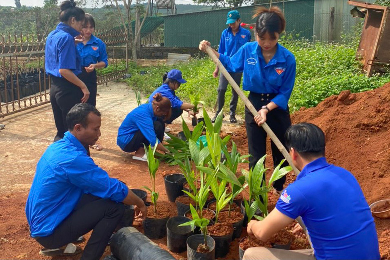 Lực lượng đoàn viên, thanh niên tham gia chăm sóc cây giống tại “Vườn ươm thanh niên”